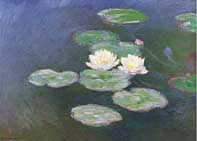 Water Lilies at Night